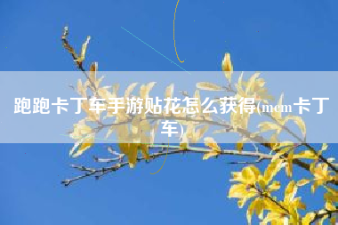 跑跑卡丁车手游贴花怎么获得(mcm卡丁车)