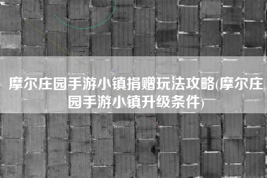 摩尔庄园手游小镇捐赠玩法攻略(摩尔庄园手游小镇升级条件)