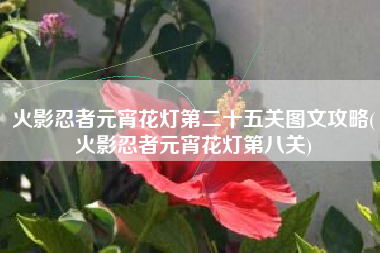 火影忍者元宵花灯第二十五关图文攻略(火影忍者元宵花灯第八关)