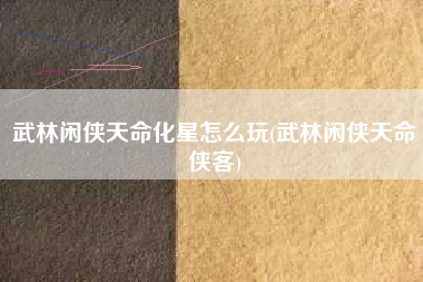 武林闲侠天命化星怎么玩(武林闲侠天命侠客)