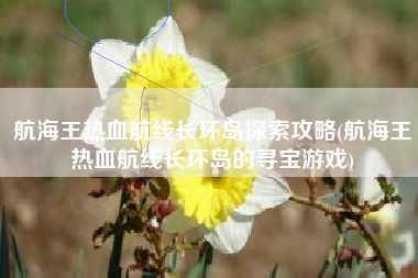 航海王热血航线长环岛探索攻略(航海王热血航线长环岛的寻宝游戏)