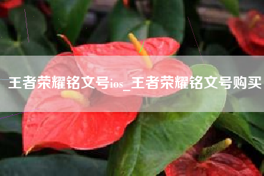 王者荣耀铭文号ios_王者荣耀铭文号购买