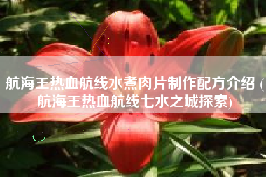 航海王热血航线水煮肉片制作配方介绍 (航海王热血航线七水之城探索)