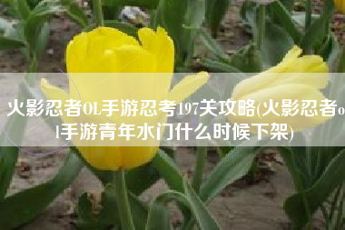 火影忍者OL手游忍考197关攻略(火影忍者ol手游青年水门什么时候下架)