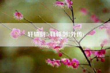 轩辕剑7(轩辕剑7外传)