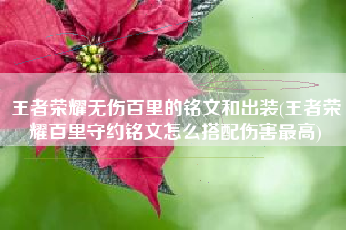 王者荣耀无伤百里的铭文和出装(王者荣耀百里守约铭文怎么搭配伤害最高)