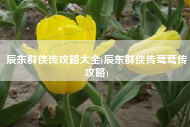 辰东群侠传攻略大全(辰东群侠传莺莺传攻略)