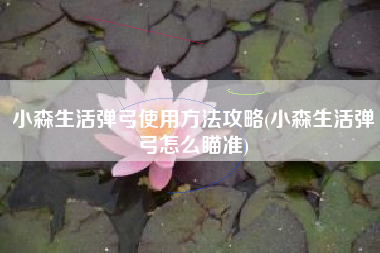 小森生活弹弓使用方法攻略(小森生活弹弓怎么瞄准)