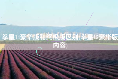 拳皇14豪华版和终极版区别(拳皇15豪华版内容)