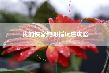 我的侠客纯阳指玩法攻略