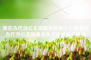 我在古代当公主闺蜜支线有什么用(我在古代当公主闺蜜点头之交要多少好感)