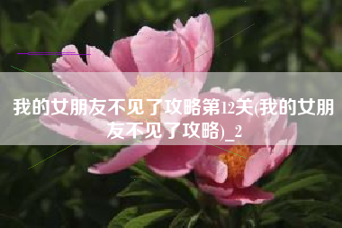 我的女朋友不见了攻略第12关(我的女朋友不见了攻略)_2