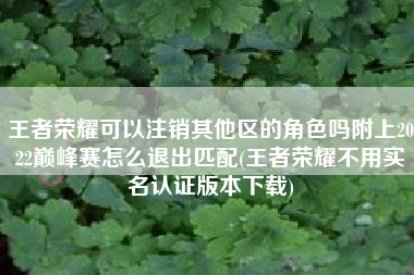 王者荣耀可以注销其他区的角色吗附上2022巅峰赛怎么退出匹配(王者荣耀不用实名认证版本下载)