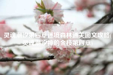 灵魂潮汐第四章迷境森林通关图文攻略(灵魂潮汐神的金枝第四章)