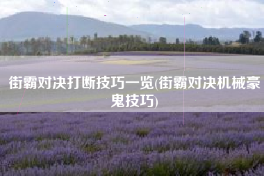 街霸对决打断技巧一览(街霸对决机械豪鬼技巧)