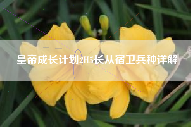 皇帝成长计划2H5长从宿卫兵种详解