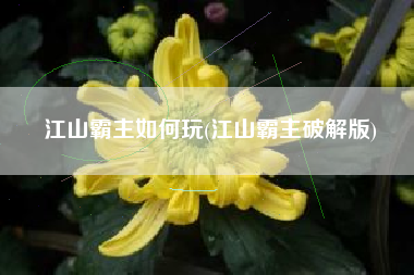 江山霸主如何玩(江山霸主破解版)