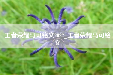 王者荣耀马可铭文2022_王者荣耀马可铭文