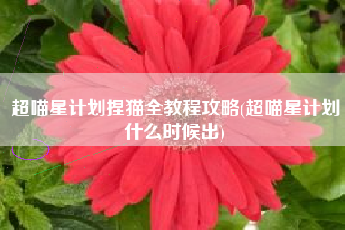 超喵星计划捏猫全教程攻略(超喵星计划什么时候出)