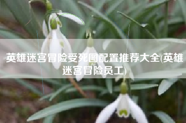 英雄迷宫冒险受死图配置推荐大全(英雄迷宫冒险员工)