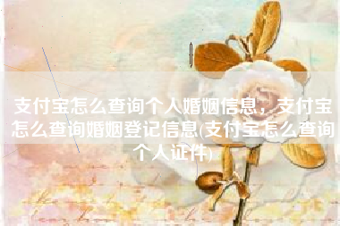 支付宝怎么查询个人婚姻信息，支付宝怎么查询婚姻登记信息(支付宝怎么查询个人证件)
