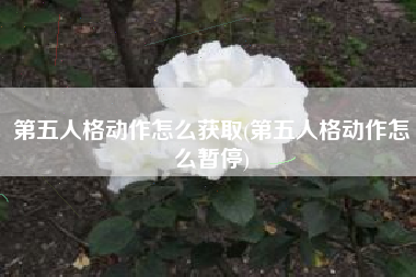 第五人格动作怎么获取(第五人格动作怎么暂停)