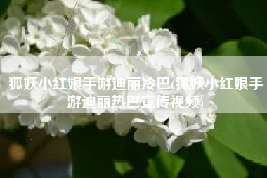 狐妖小红娘手游迪丽冷巴(狐妖小红娘手游迪丽热巴宣传视频)