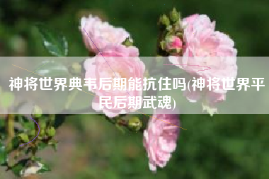 神将世界典韦后期能抗住吗(神将世界平民后期武魂)