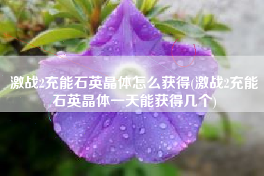 激战2充能石英晶体怎么获得(激战2充能石英晶体一天能获得几个)