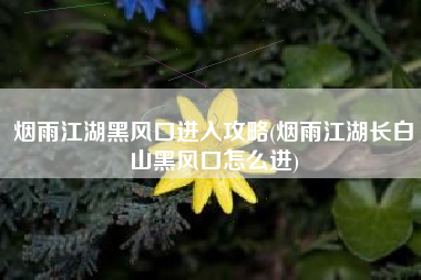 烟雨江湖黑风口进入攻略(烟雨江湖长白山黑风口怎么进)