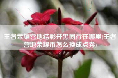 王者荣耀营地结彩开黑同行在哪里(王者营地荣耀币怎么换成点券)