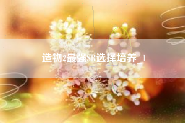 造物2最强SR选择培养_1