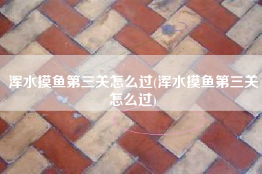浑水摸鱼第三关怎么过(浑水摸鱼第三关怎么过)