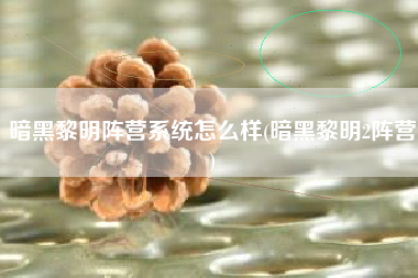 暗黑黎明阵营系统怎么样(暗黑黎明2阵营)