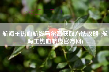 航海王热血航线马尔高获取方法攻略 (航海王热血航线官方网)