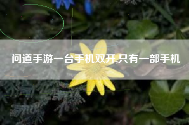 问道手游一台手机双开,只有一部手机