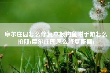 摩尔庄园怎么修复木板钓鱼附手游怎么拍照(摩尔庄园怎么修复畜棚)