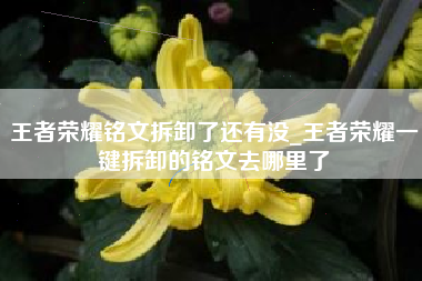 王者荣耀铭文拆卸了还有没_王者荣耀一键拆卸的铭文去哪里了