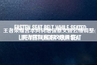 王者荣耀宫本阿轲增强蔡文姬云缨调整(王者荣耀宫本攻速阈值)