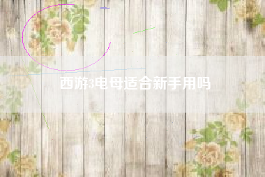西游3电母适合新手用吗
