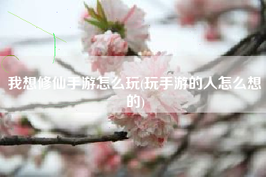 我想修仙手游怎么玩(玩手游的人怎么想的)