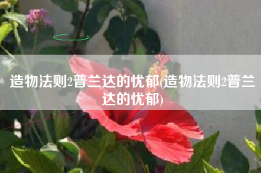 造物法则2普兰达的忧郁(造物法则2普兰达的忧郁)