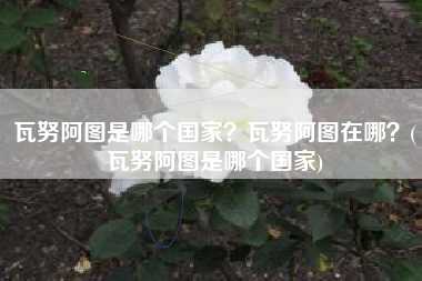 瓦努阿图是哪个国家？瓦努阿图在哪？(瓦努阿图是哪个国家)