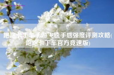 跑跑卡丁车手游飞毯手感强度评测攻略(跑跑卡丁车官方竞速版)