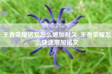 王者荣耀铭文怎么增加耐久_王者荣耀怎么快速增加铭文