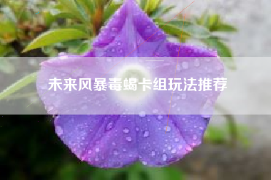 未来风暴毒蝎卡组玩法推荐