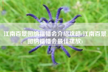 江南百景图纳福幡会介绍攻略(江南百景图纳福幡会最佳摆放)