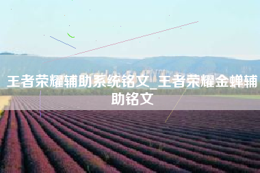 王者荣耀辅助系统铭文_王者荣耀金蝉辅助铭文