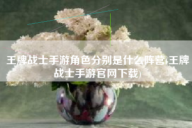 王牌战士手游角色分别是什么阵营(王牌战士手游官网下载)