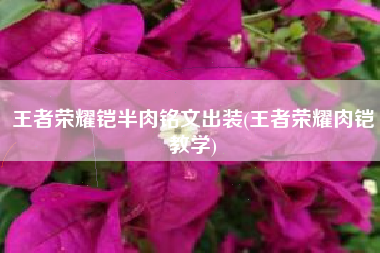 王者荣耀铠半肉铭文出装(王者荣耀肉铠教学)
